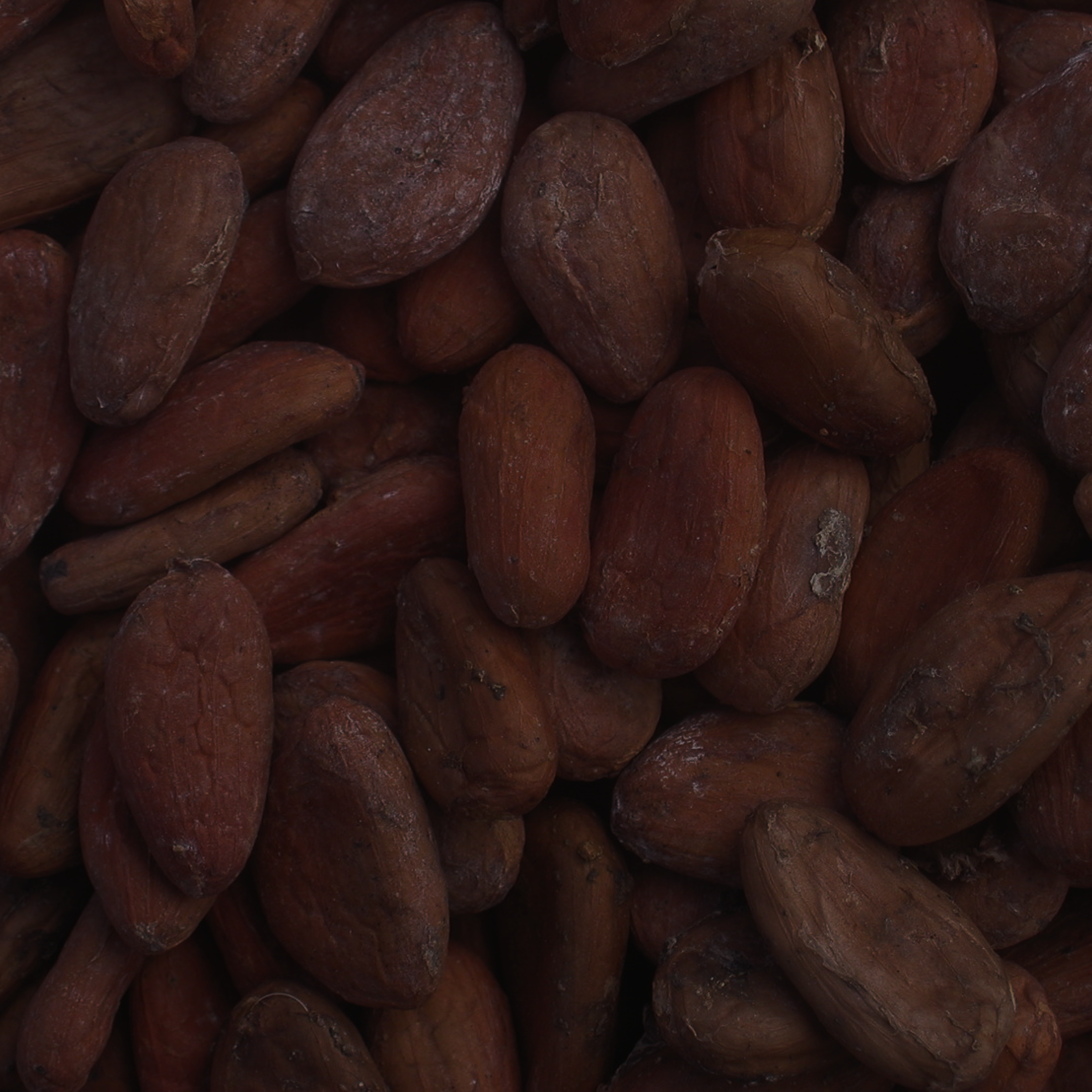 cacao beans, chocolate, cacao paste, ceremonial cacao