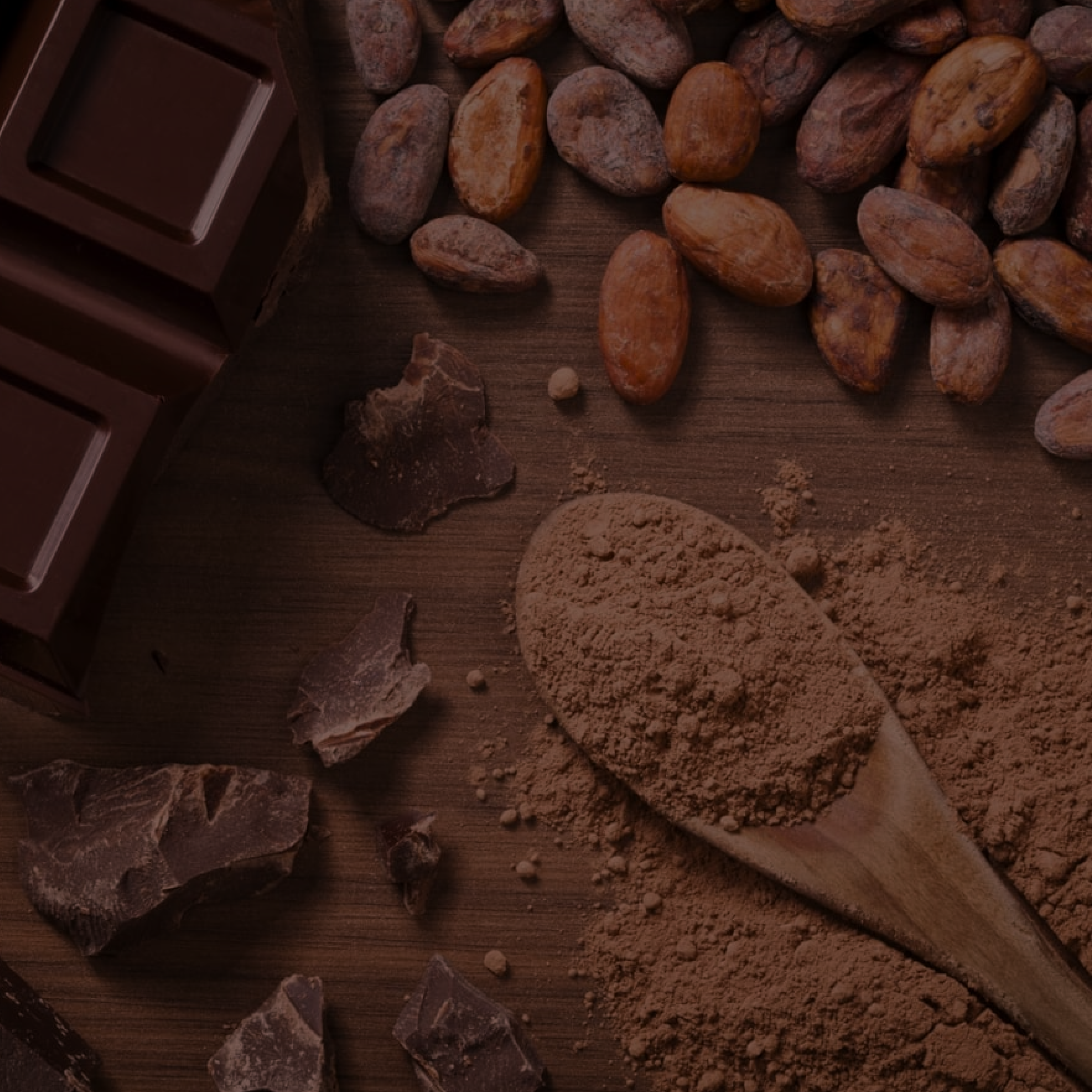 coco powder, chocolate, cacao beans, cacao paste, ceremonial cacao, dutch processing